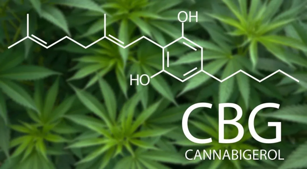 Darwin CBD artwork showing the cannabigerol molecular structure over hemp foliage, labelled CBG cannabigerol
